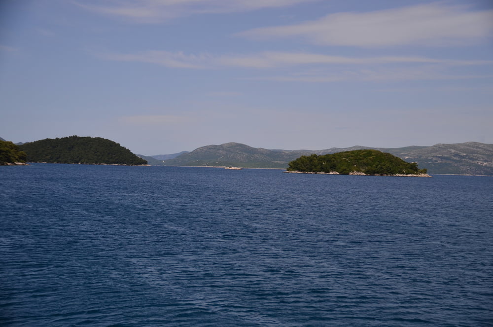 Prozura - Pomena