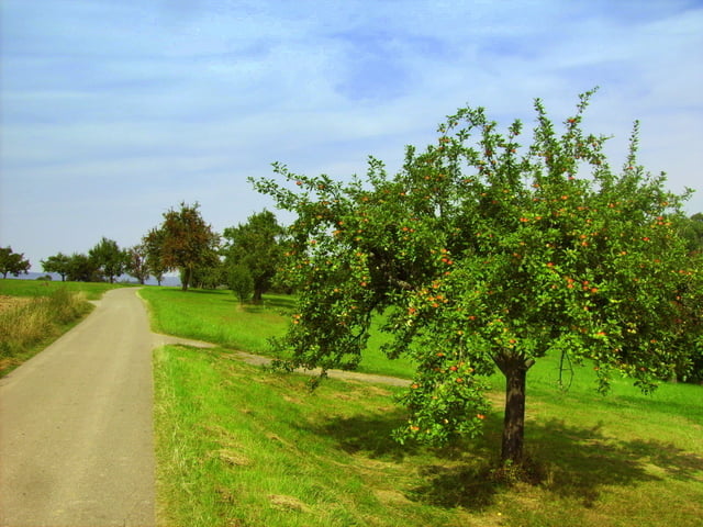 Natur im Ballungsraum
