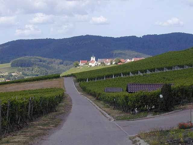 MTF Samstagstour im Stromberg