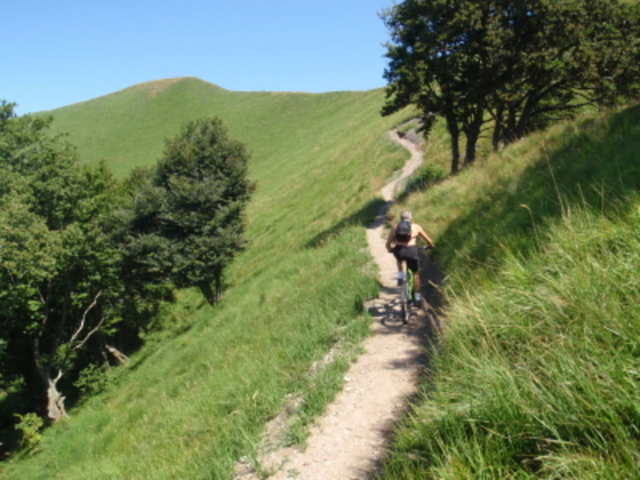 Monte Boglia  m. 1516