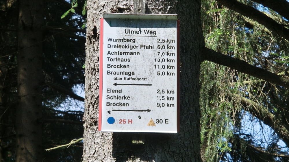 Harzburg M09 (Ulmer Weg)