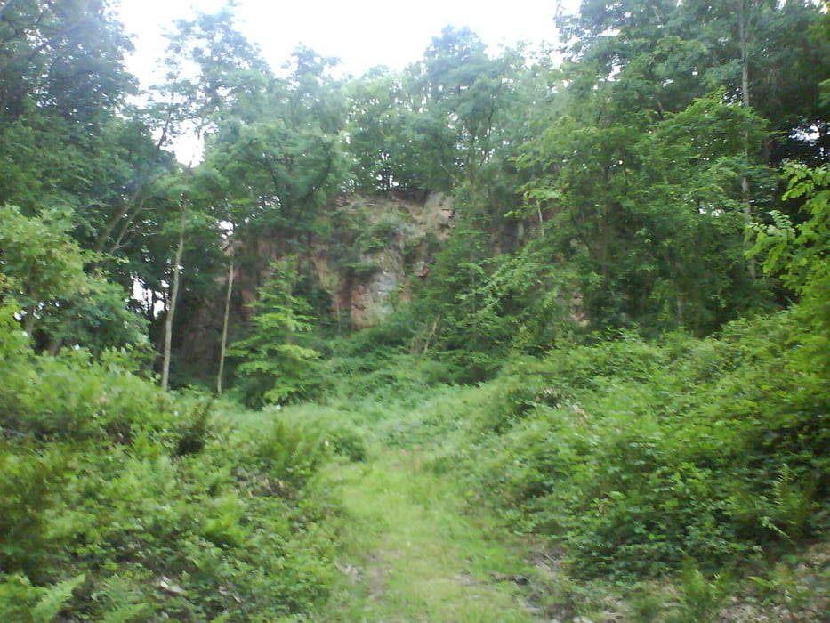 Haibach-Spessart