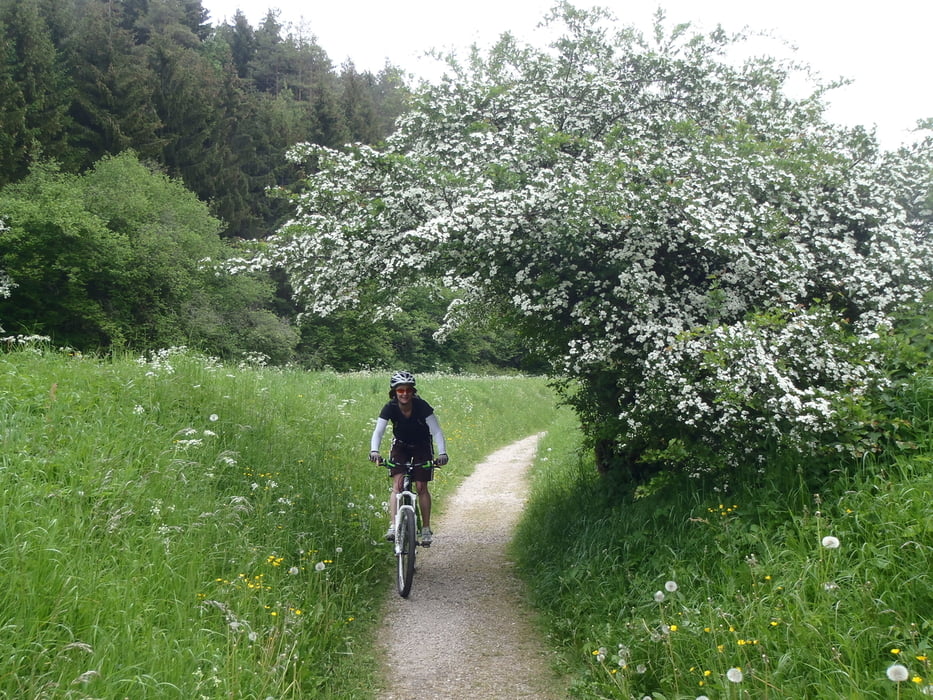 Trails in der Fränkischen Schweiz Teil 3