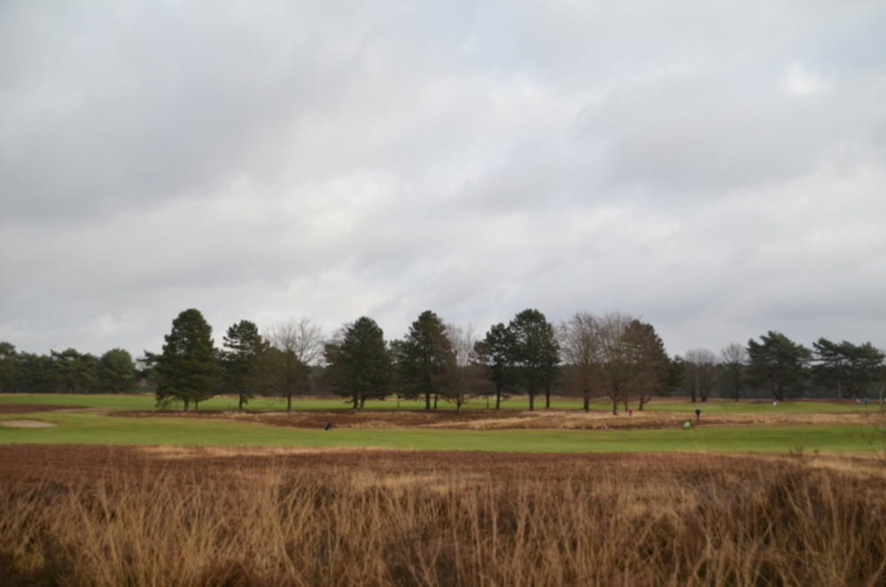 Ten Haagdoorn