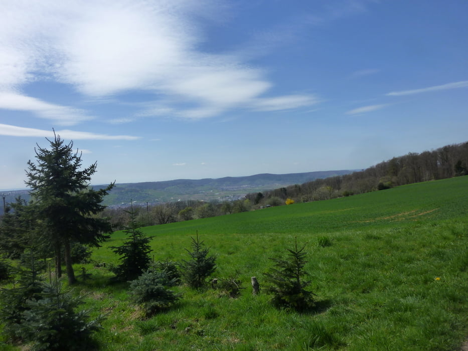 Über die Berglen ins Remstal