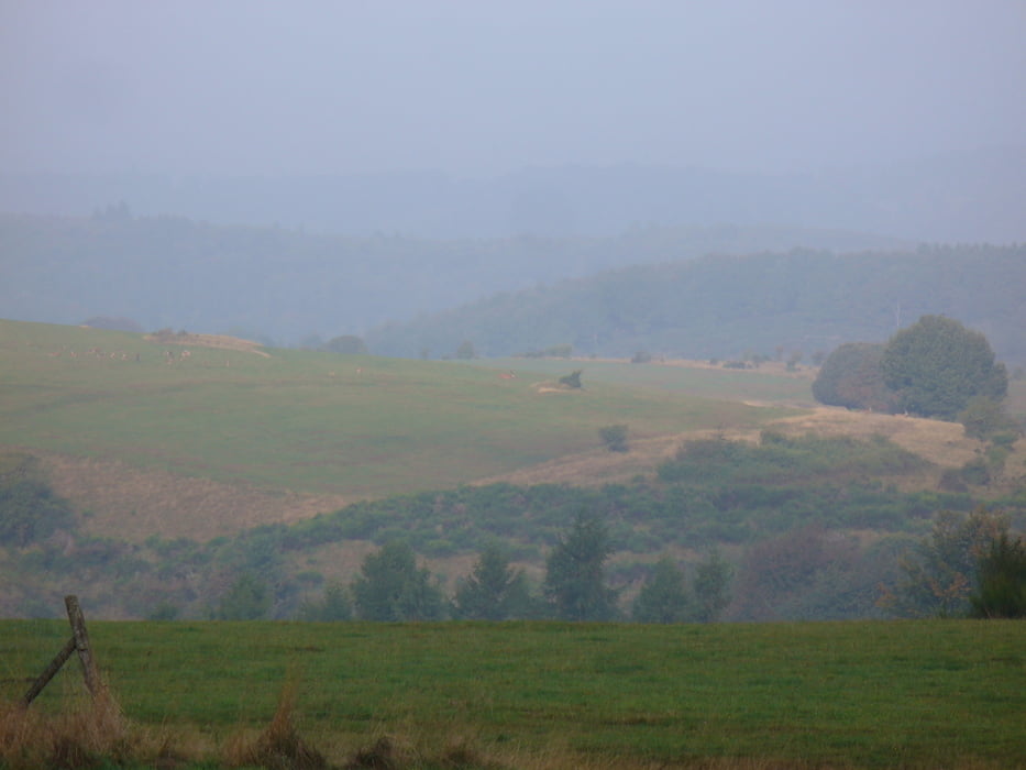 Dreiborner Hochebene