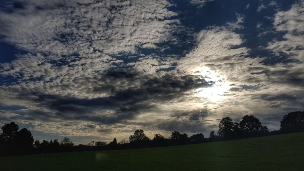 Mal eben nach Erbach