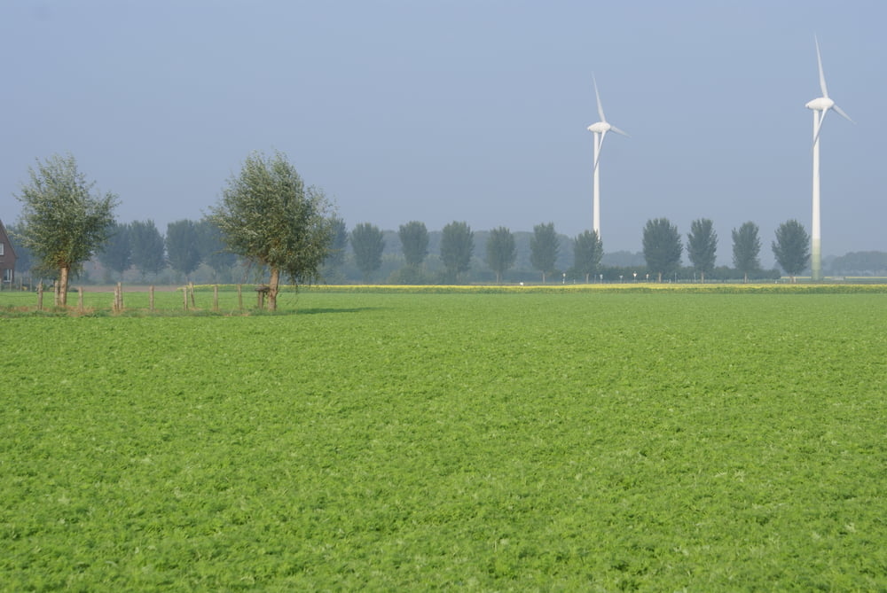 Kempen/Niederrhein - Haltern am See