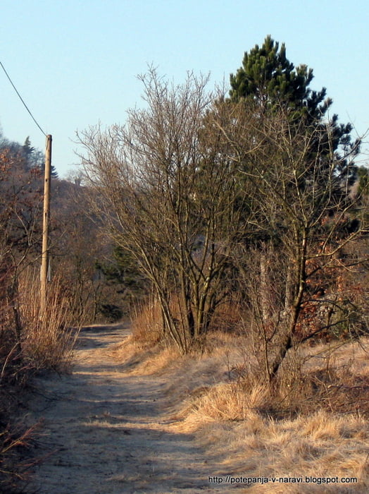 Repentabor