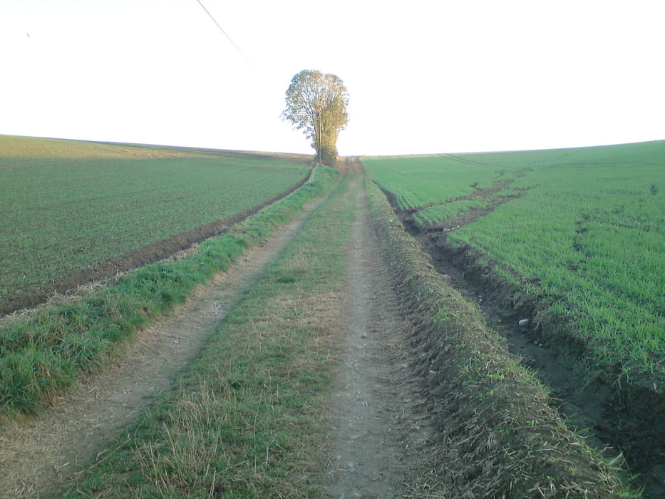 Heiligenhaus Heide 7.3km