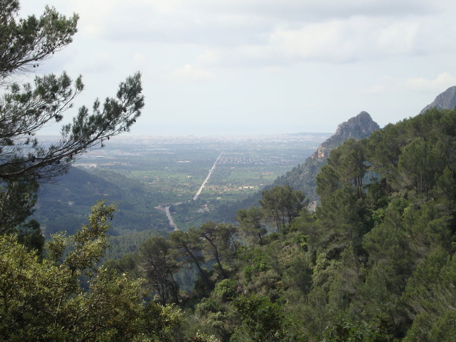 Port de Soller - Serra de Alfabia 