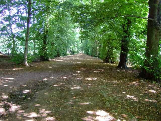Shotover