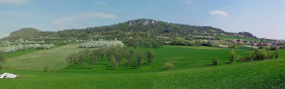Wandern Franken: Kirschblüte bei Schlaiffhausen