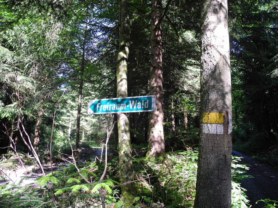 Kennelbach - Walderlebnispfad (Freiraum Wald)