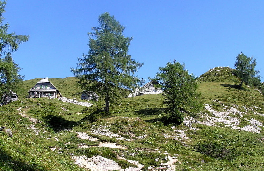 Planina Krstenica