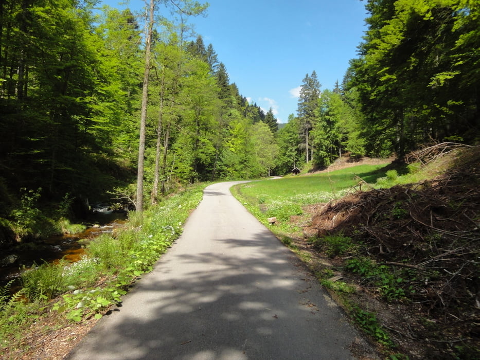 Tour zum Seibelseckle und Langenbach ab Obertal (Baiersbronn)