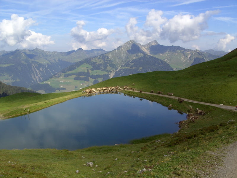 Rote Wand