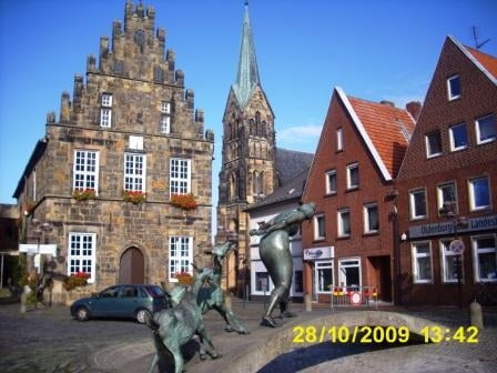 Bentheimer Wälder
