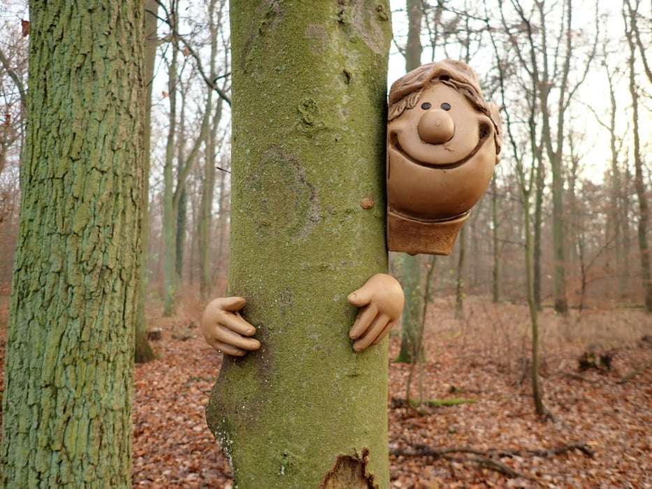 Kleine Runde durch den Beienroder Wald bei Flechtorf