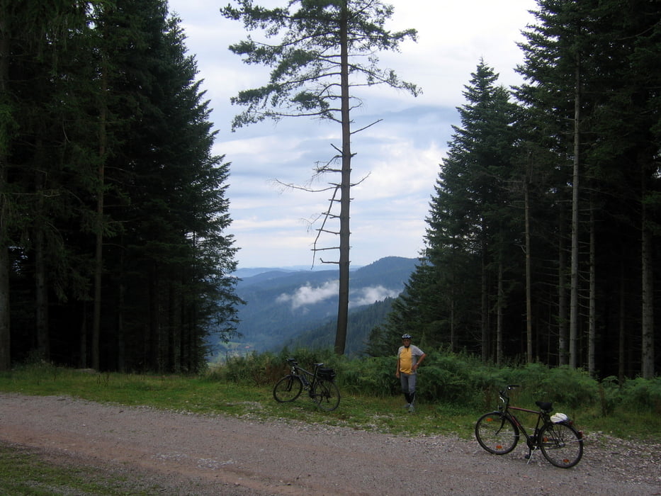 Baiersbronn Zwieselberg Schmidsberger Platz und zurück