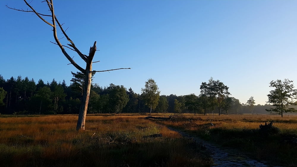 Kroondomeinen Nunspeet-Hoog Soeren