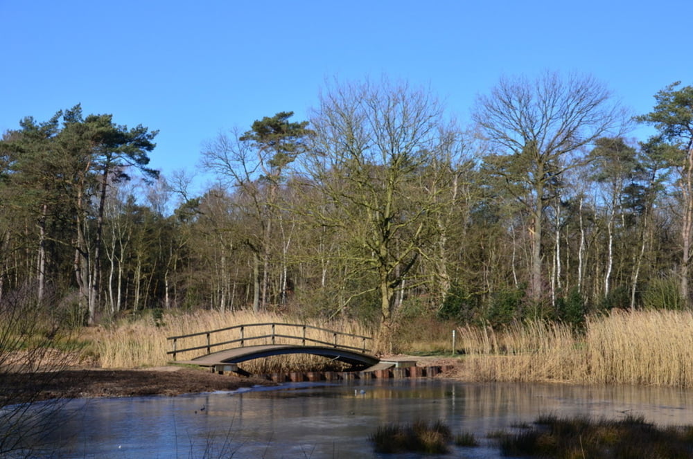 Kelchterhoef