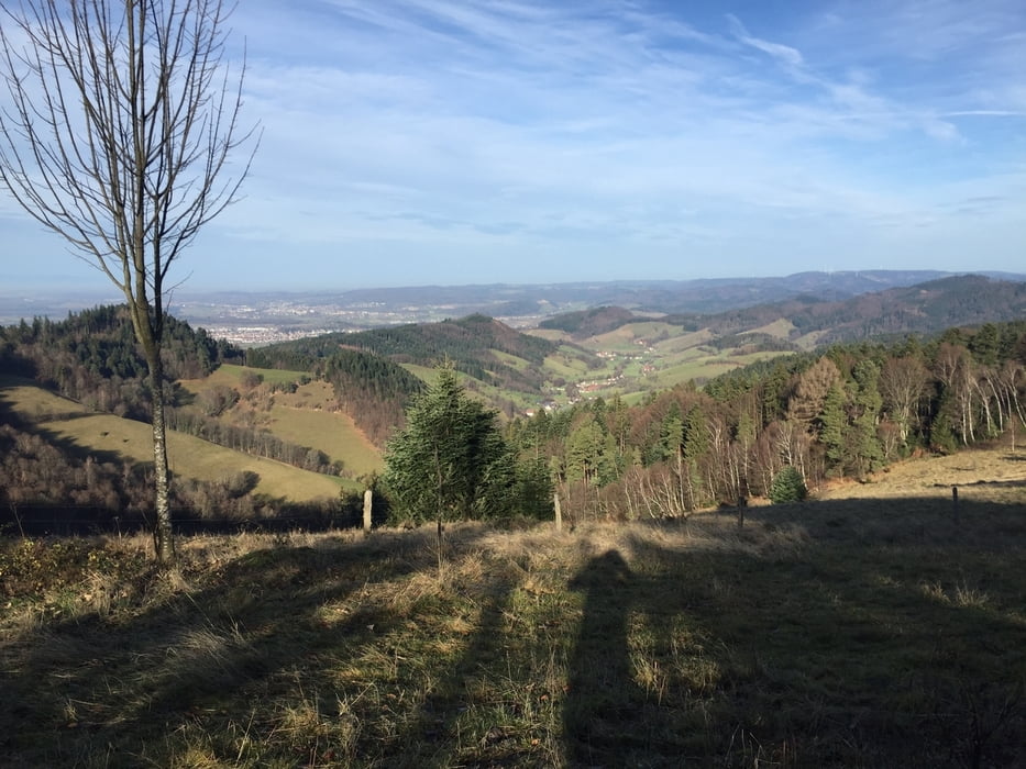 Freiburg / Rosskopf / Streckereck / Föhrental / Wildtaler Eck schöne 2h Tour 
