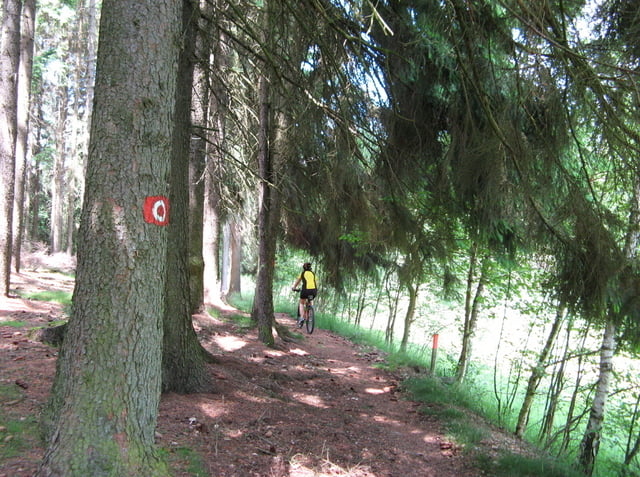 2008.06.08. Okolo hranice