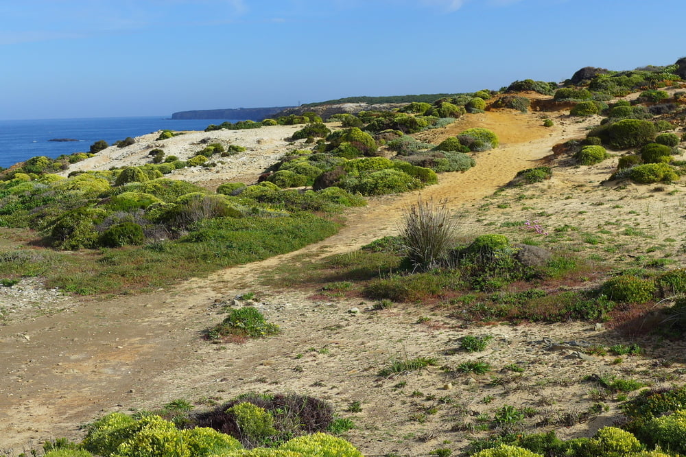 Rota Vicentina: Von Zambujeira do Mar nach Almograve