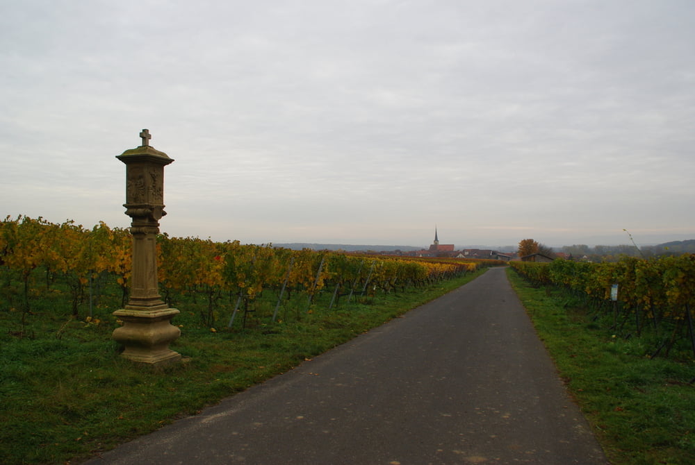 Weinbergwanderung Weininsel