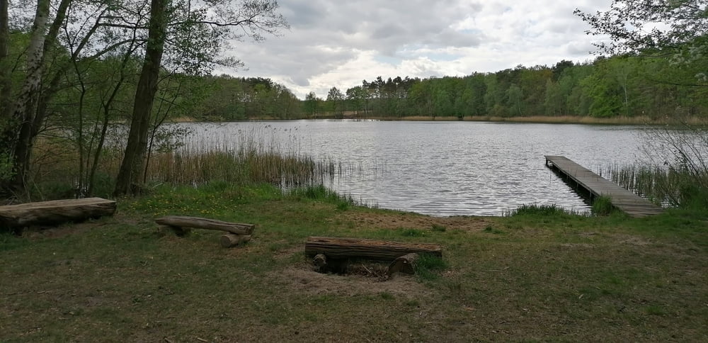 371. Freidorf - Staakmühle um die Dahme herum, Spreewald Brandenburg
