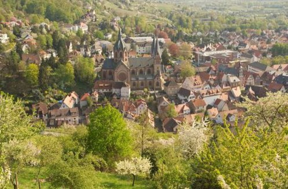 Heppenheim - Ellenbach - Juhöhe