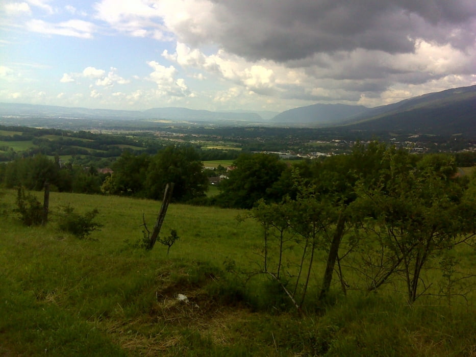 Divone Runde