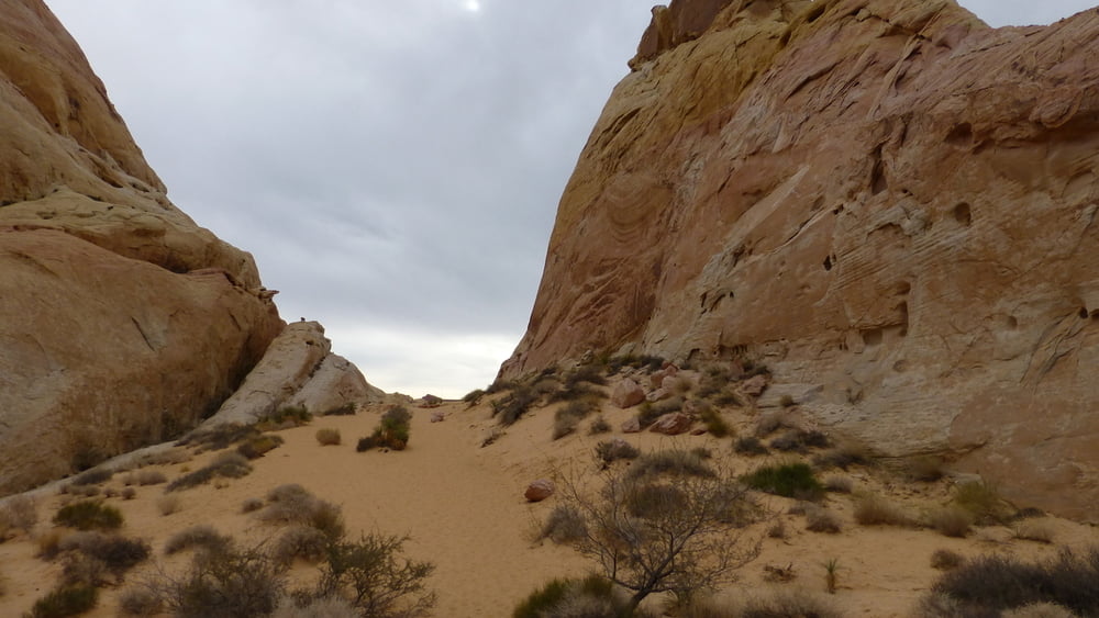 131218.2 USA Valley of Fire - White Domes