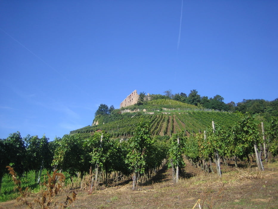 Grüni´s Traumtour durch´s Markgräflerland Nr.2