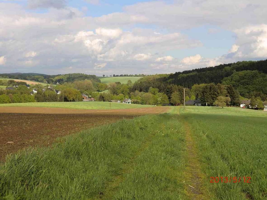 Südöstlich von Seelscheid