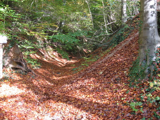 Feierabendrunde Nussloch