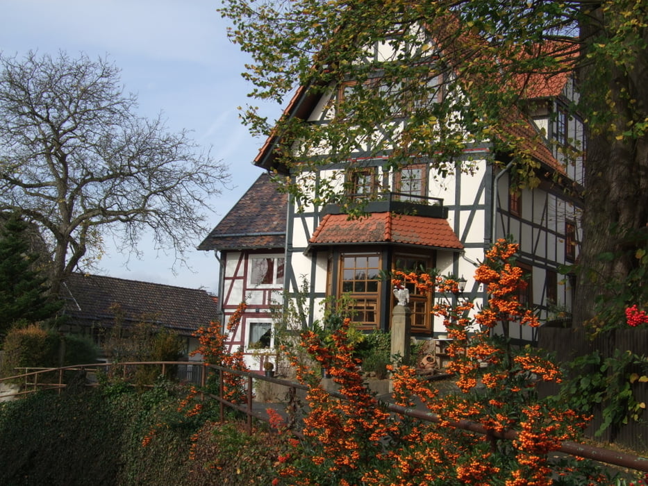 Vom Otterbachstein zum Dohlsbachtal