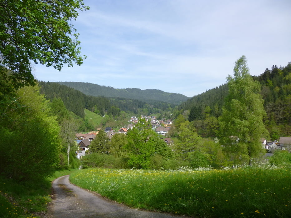 Runde bei Alpirsbach