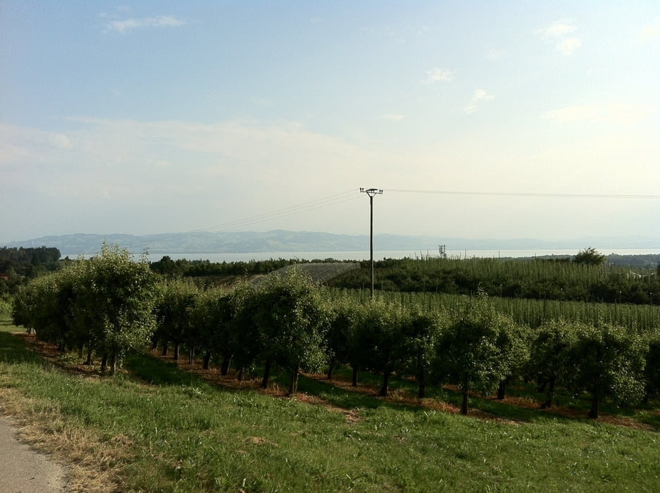 GeländeTour FN - Schleinsee