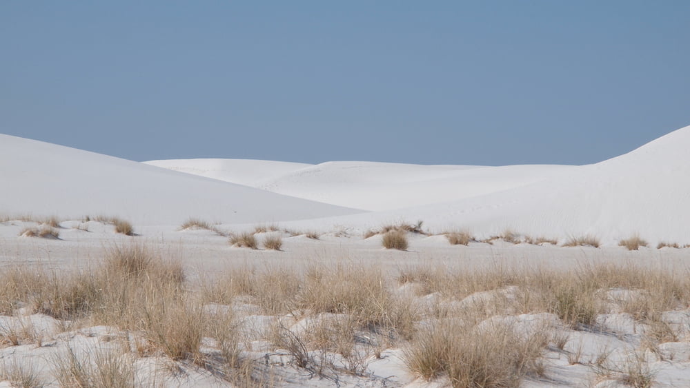 Alkali Trail White Sands New Mexico