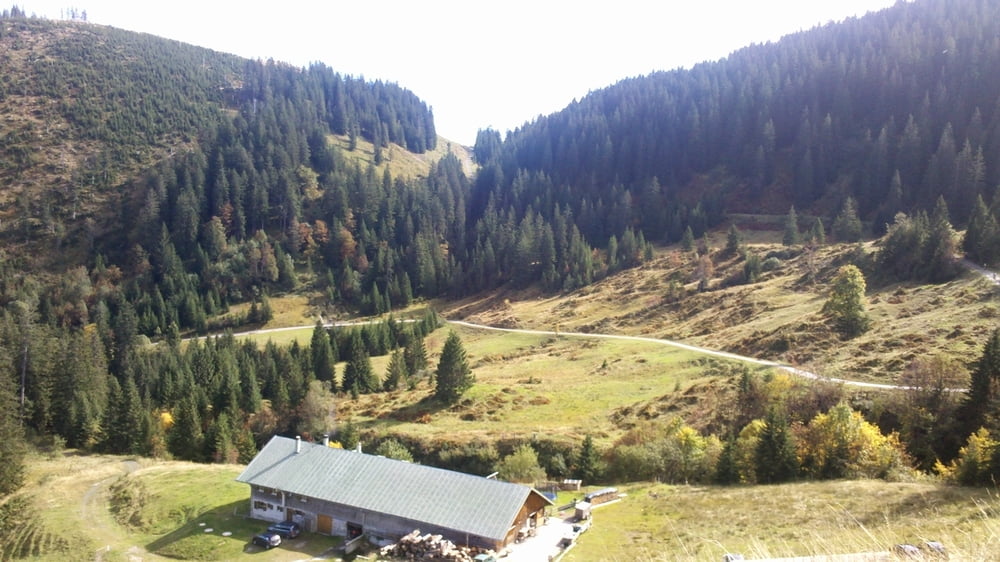 Vorderburg - Alpe Schnitzlertal