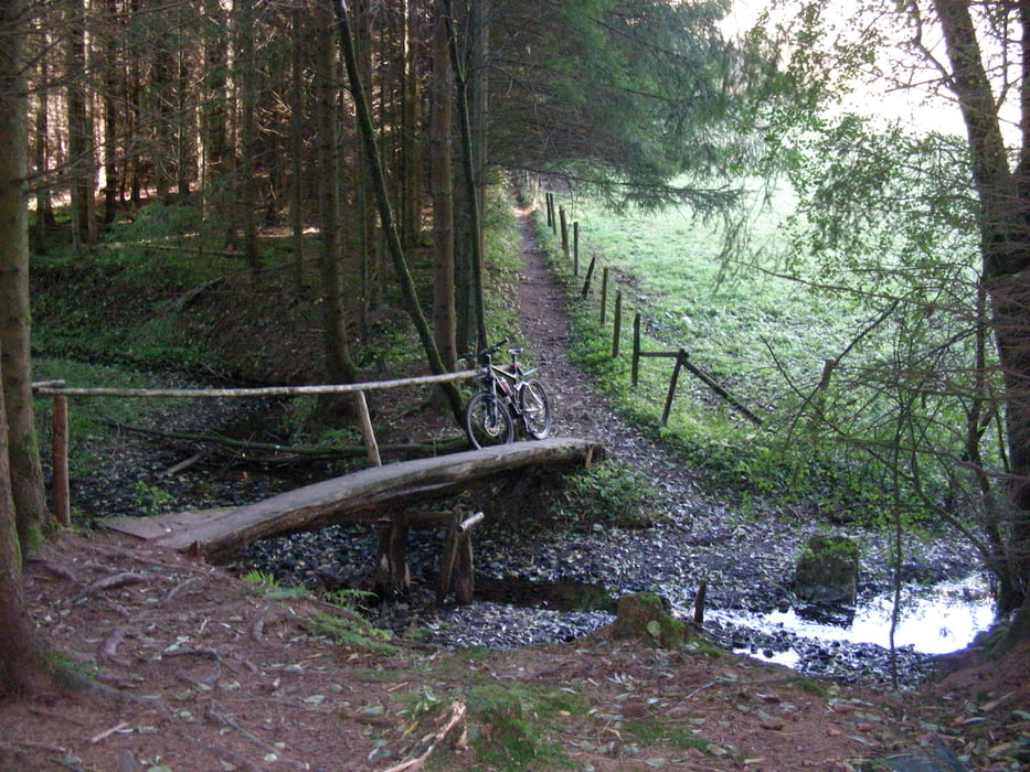 Runde um Schüller