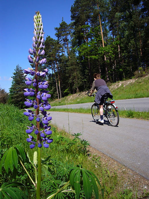 Auf dem Haidenaab- und Creußen-Radweg