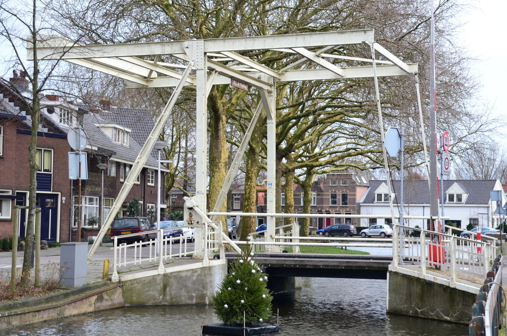 Het Goudse hout