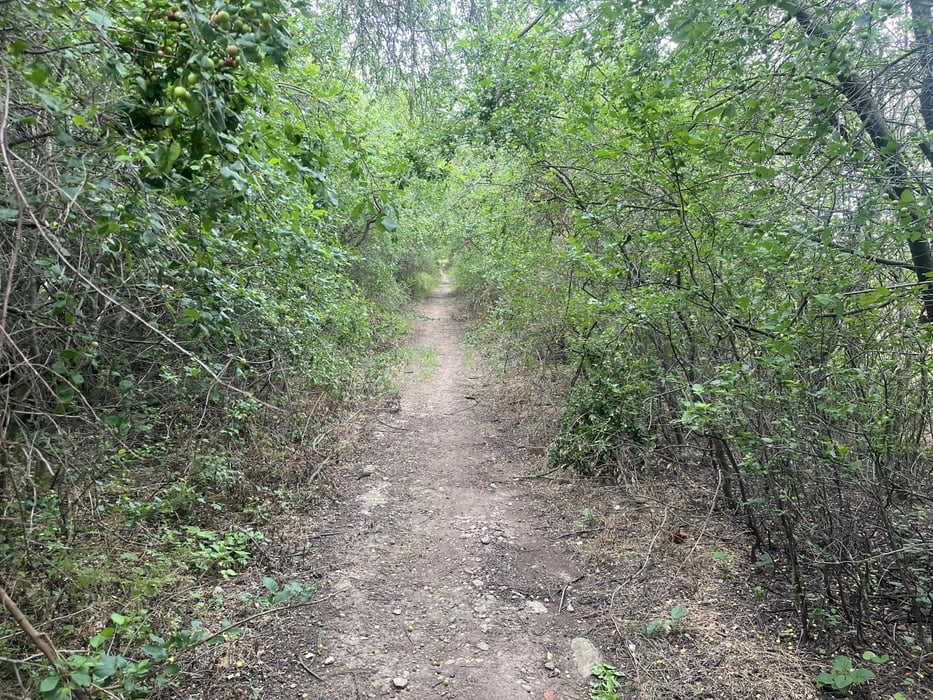 Wald- und Wiesenwege südöstlich von Erfurt