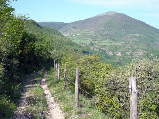 Monte di Costafiore