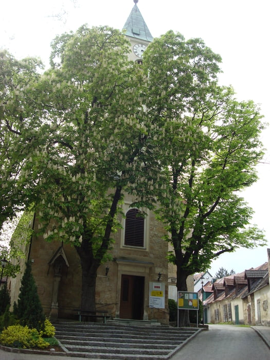 Fischauer Berge