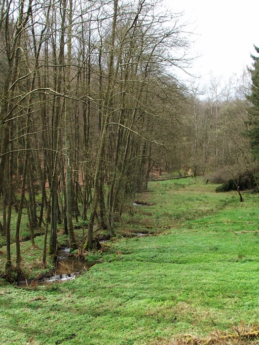 Taunus: Eschenhahn - Niedernhausen - Idstein