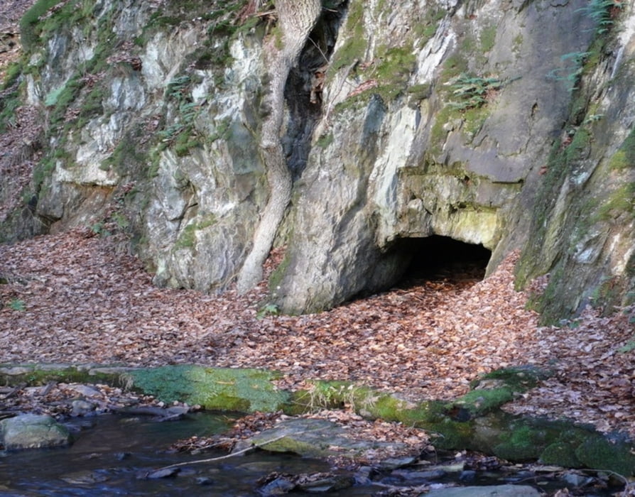 Alte Burg - Schinderhannes Höhle